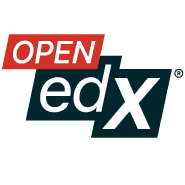 AI Ethics and Safety